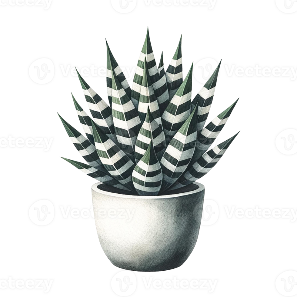 AI generated Zebra Plant succulent  in a pot watercolor clipart png