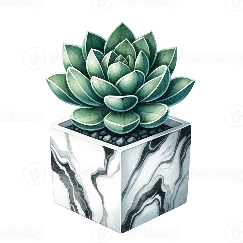 AI generated Succulent with a marble-patterned square pot  watercolor clipart png