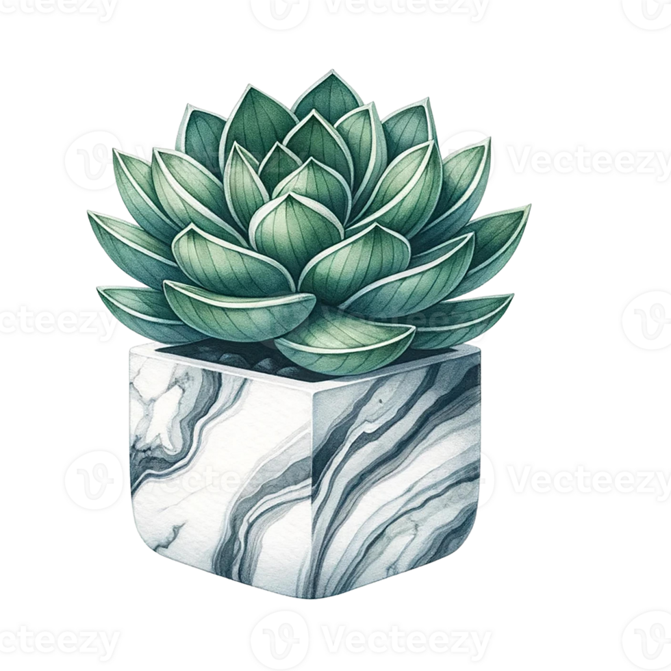 AI generated Succulent with a marble-patterned square pot  watercolor clipart png