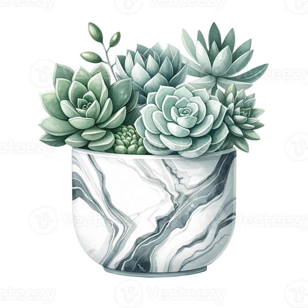 AI generated Succulent with a marble-patterned square pot  watercolor clipart png