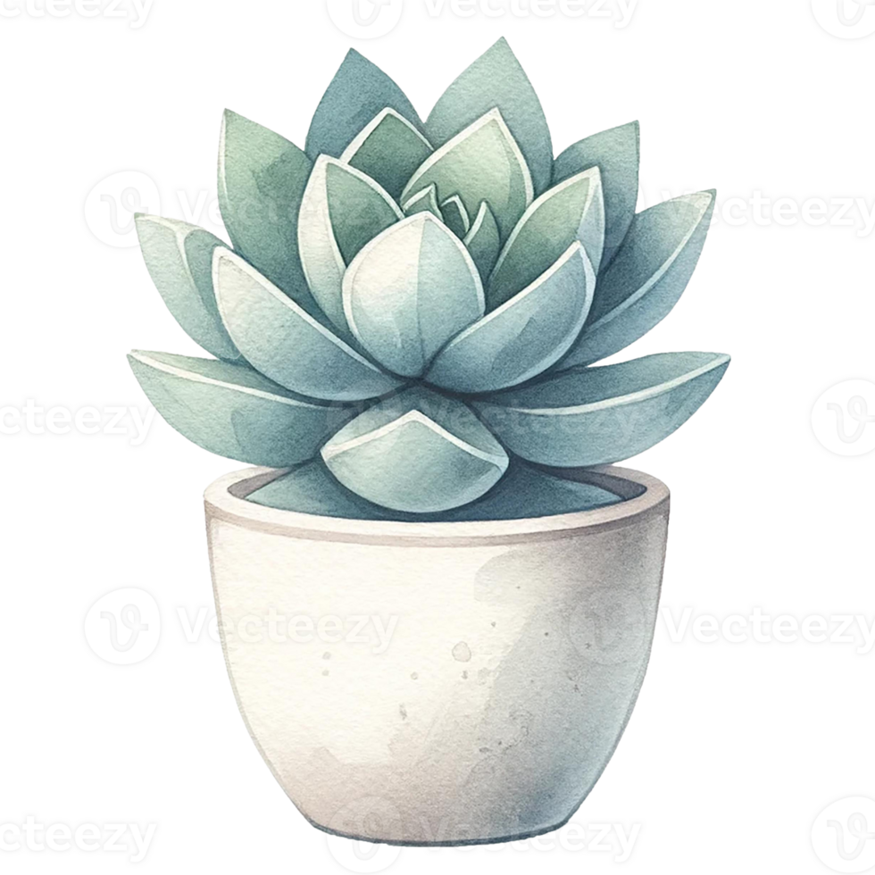 AI generated Succulent plant with a concrete planter watercolor clipart png