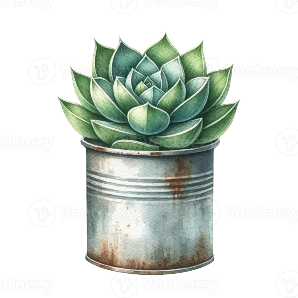 AI generated Succulents  with a vintage-style metal pot  watercolor clipart png