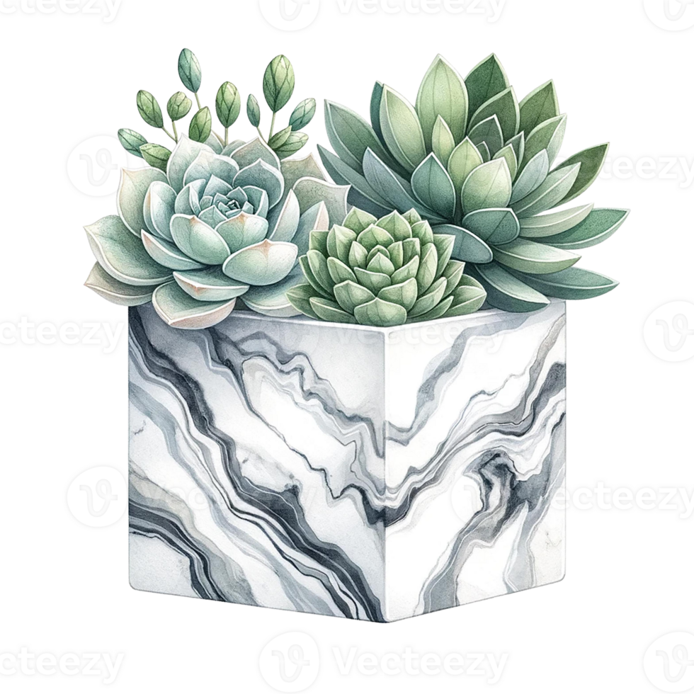 ai généré succulent avec une à motif marbré carré pot aquarelle clipart png