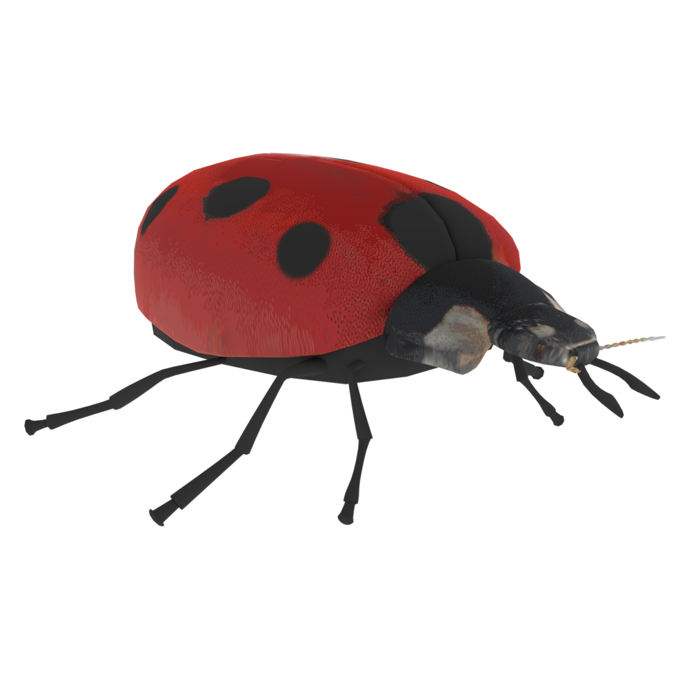 Ladybird isolated on transparent 37802221 PNG