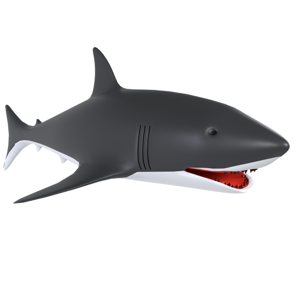 Shark isolated on transparent png