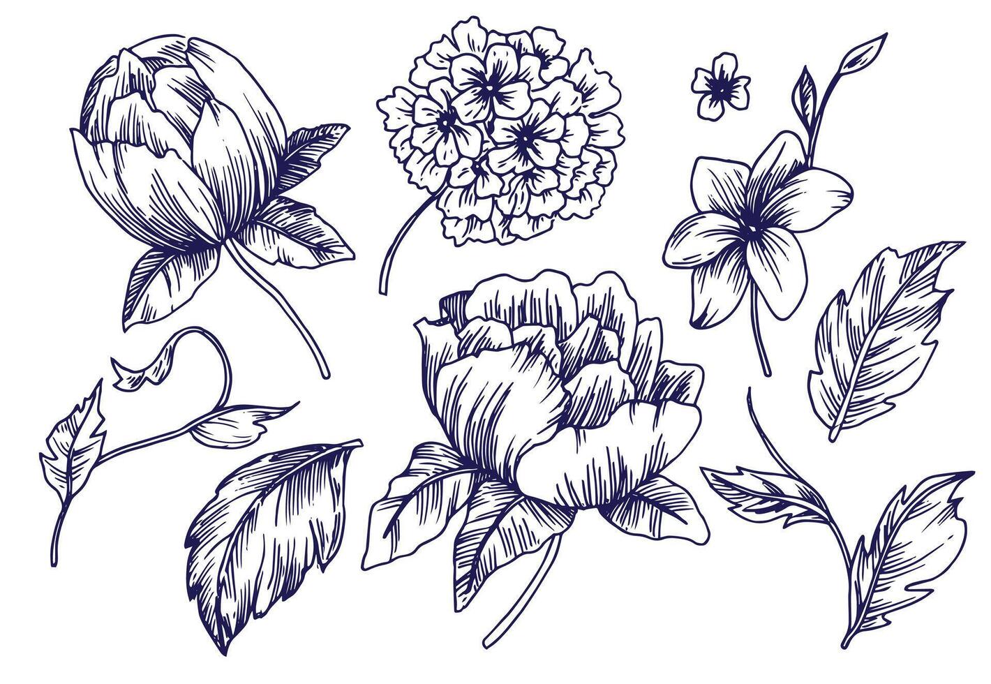 set with flowers, hand drawing in vintage style. sketch vector