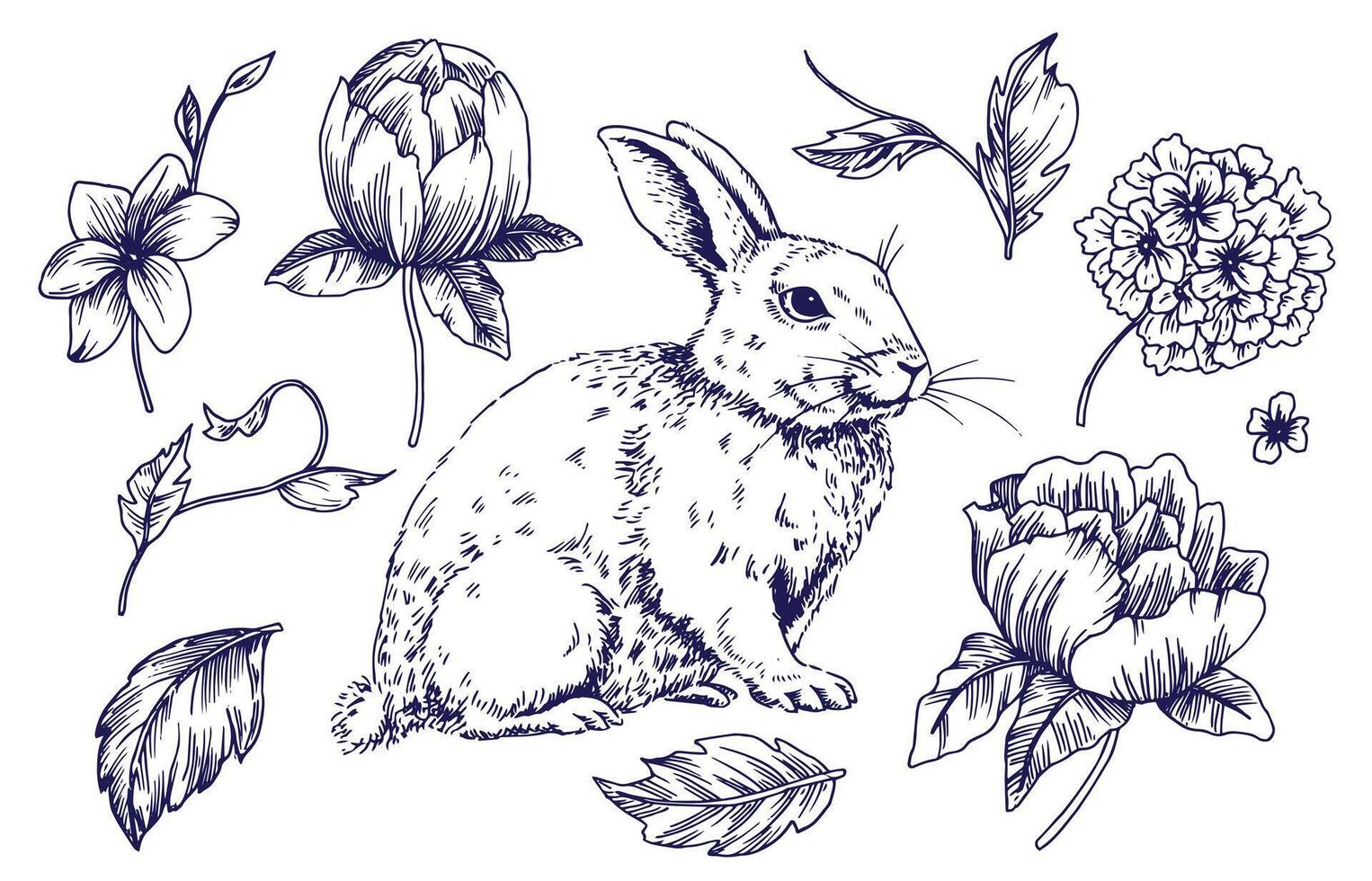 set with Easter bunny and flowers, hand drawing in vintage style. sketch vector