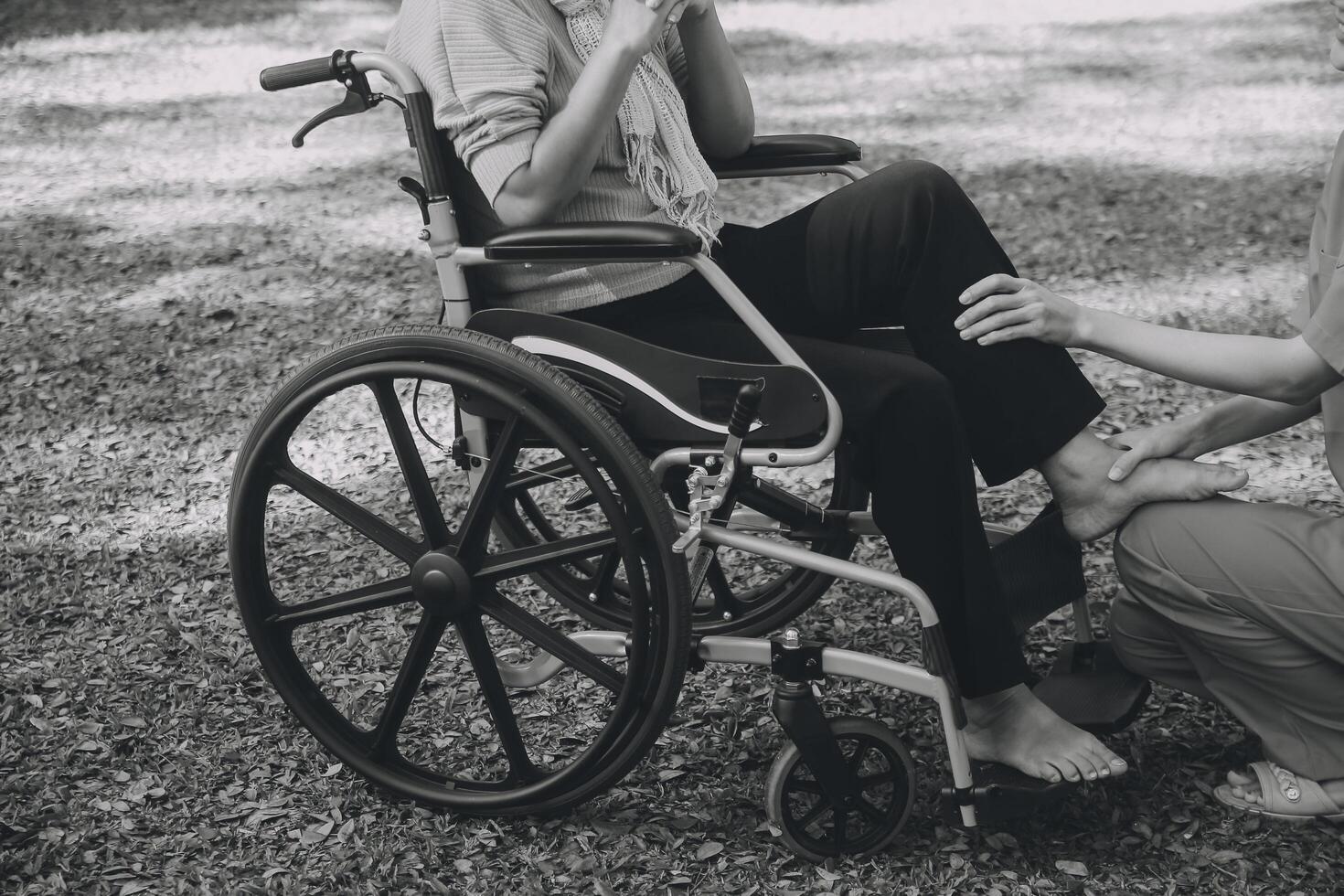 young asian physical therapist working with senior woman on walking with a walker photo