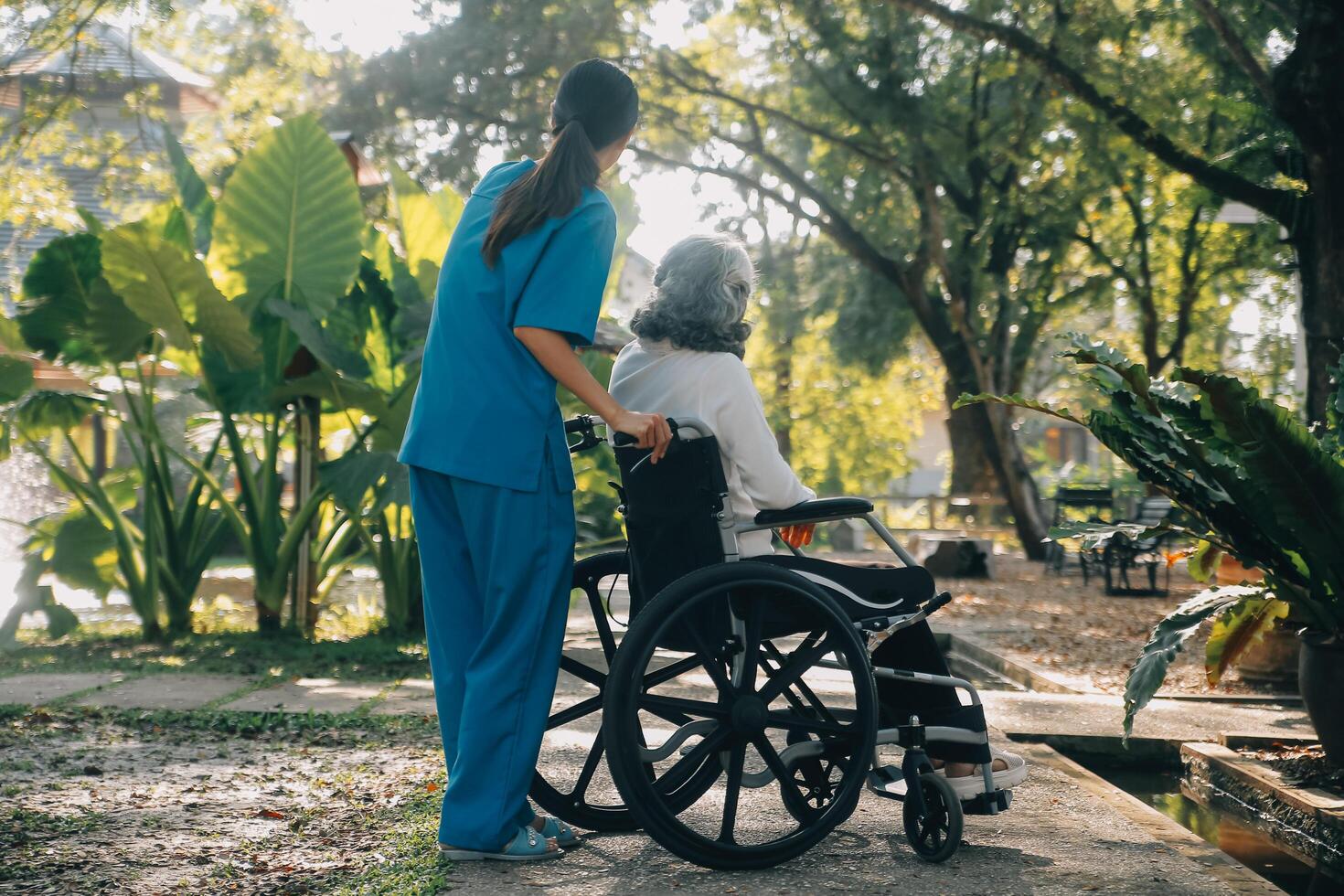 A nurse take care a senior male on wheelchair in his garden at home photo