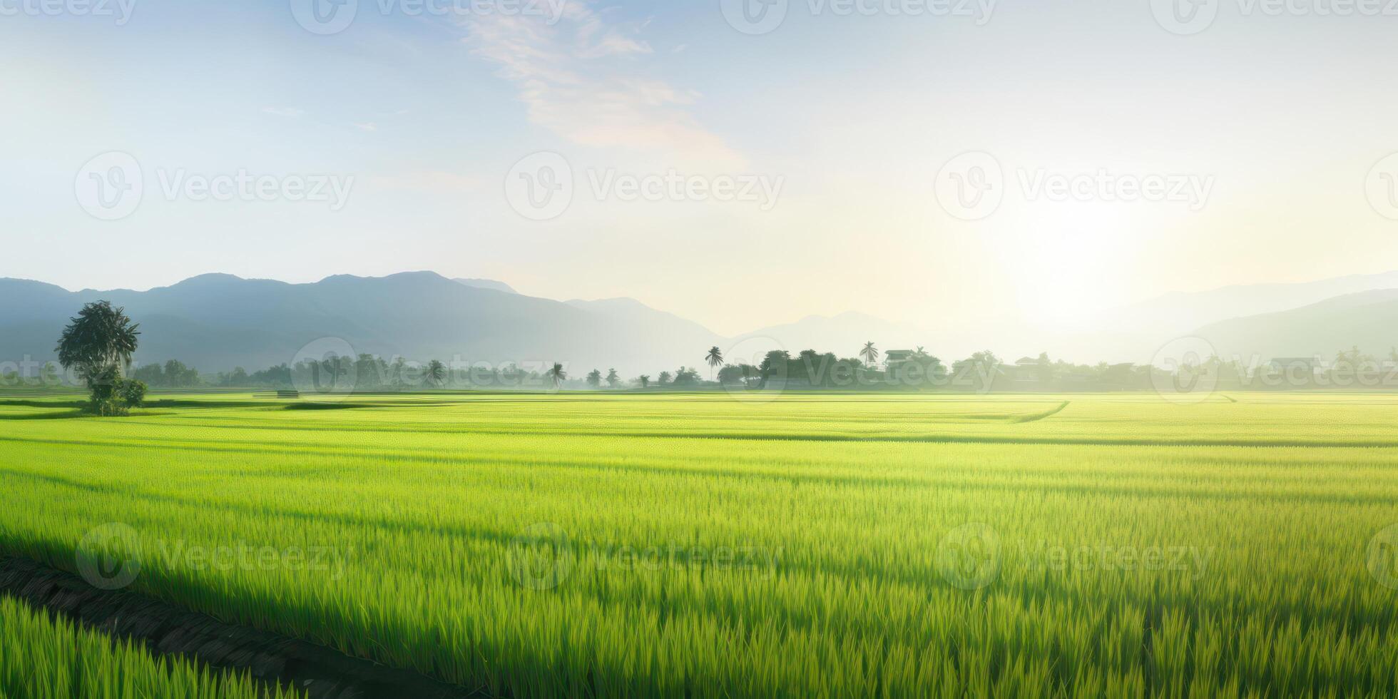 ai generado Mañana ver de un floreciente arroz granja foto