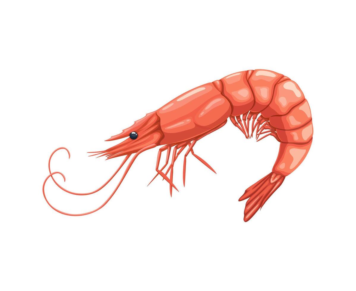 Cartoon seafood, shrimp or prawn, sea food cuisine vector