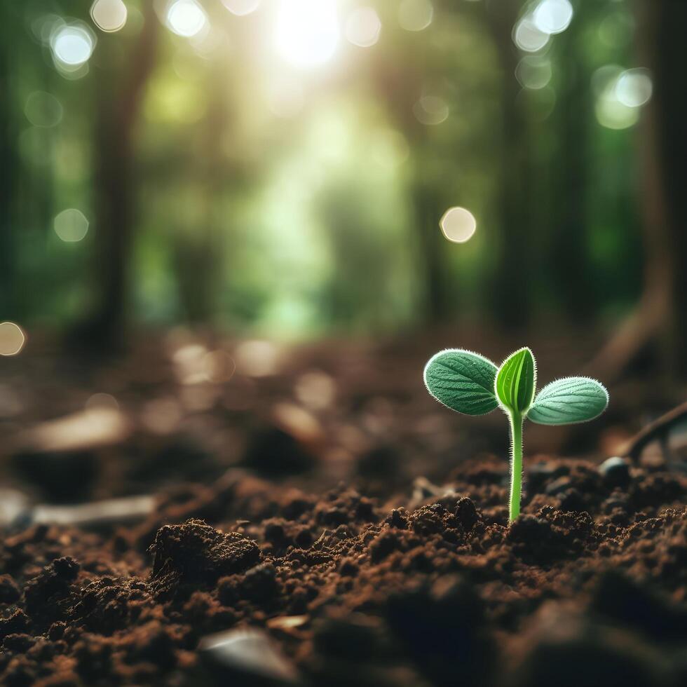 AI generated Sprouting Life, Green Seedling in Soil, Ecology Concept photo