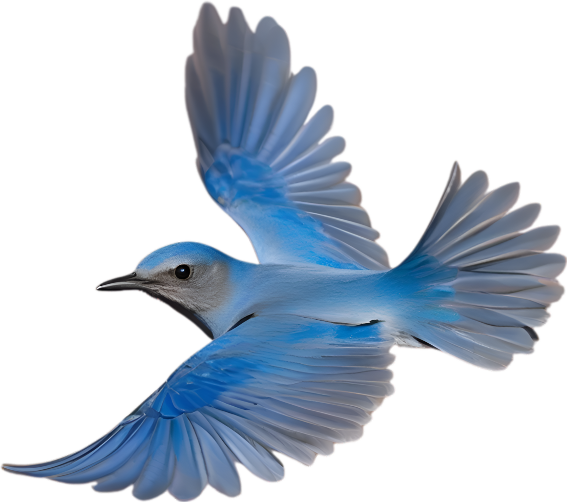 AI generated Close-up image of a Mountain Bluebird. png