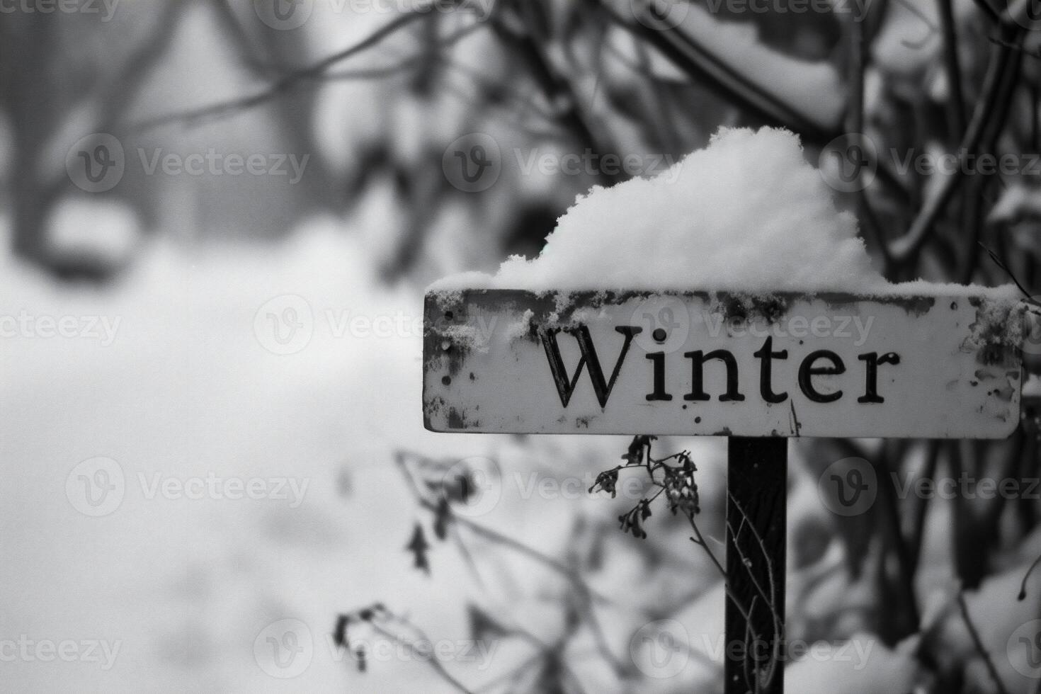 AI generated Black and white image of with the word WINTER photo