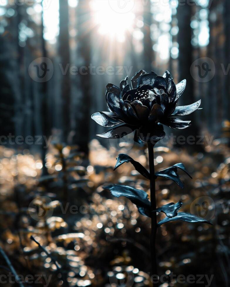 AI generated beautiful wild flower in the forest at sunset, black and white photo