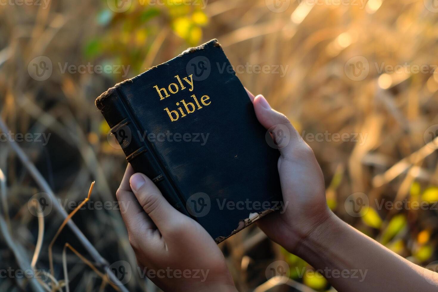 ai generado Biblia en el manos en un antecedentes de seco césped foto