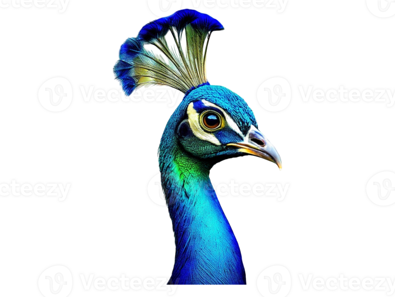 AI generated Peacock farm bird with various colors- png