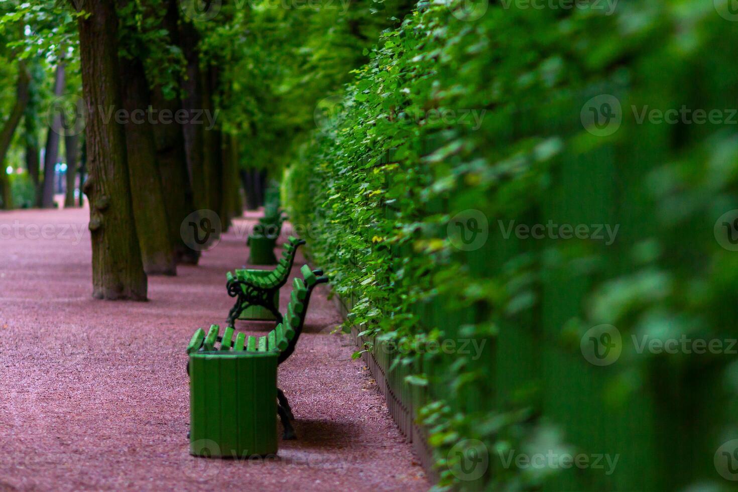 Benches in the Summer Garden - Russian Letniy sad - in Saint Pete photo