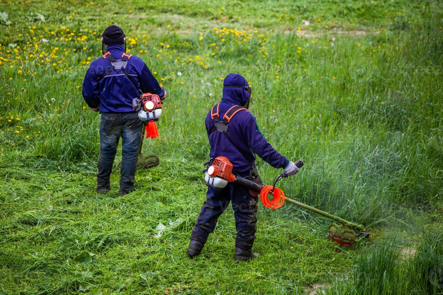 two municipal lawnmower men with string trimmers trimming grass at sunny day photo