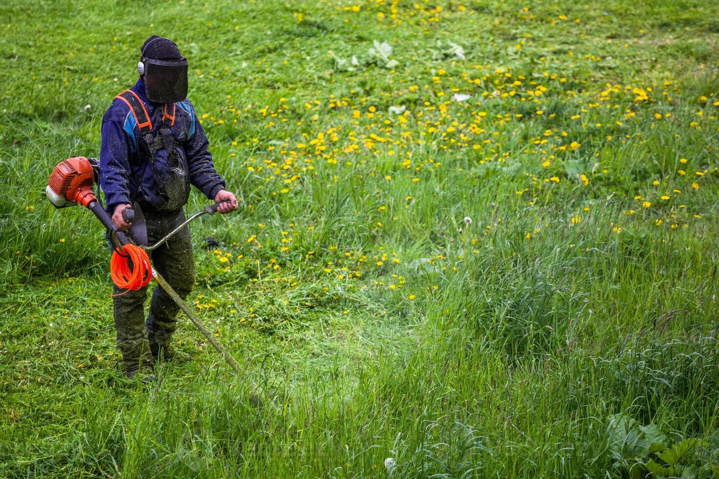 lawnmower man with string trimmer trimming grass at sunny day photo