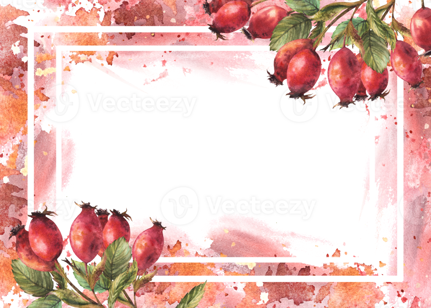 Frame of wild rosehip. Branch red briar fruits, dog rose berries, green leaves with watercolor splashes Hand drawn illustration for banner, post card, medical label. Template png