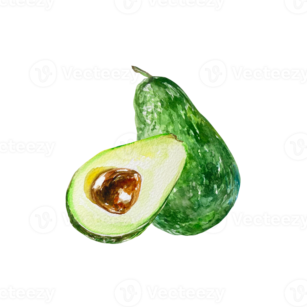 Avocado watercolor, slice and whole. Illustration. Design element for cards, invitations, food products, cosmetics, labels, covers, packaging. png