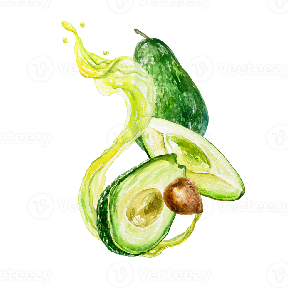 Avocado watercolor, oil splashes, fruits, pieces, avocado seed. Illustration. Design element for food products, cosmetics, labels, covers, packaging, banners. png