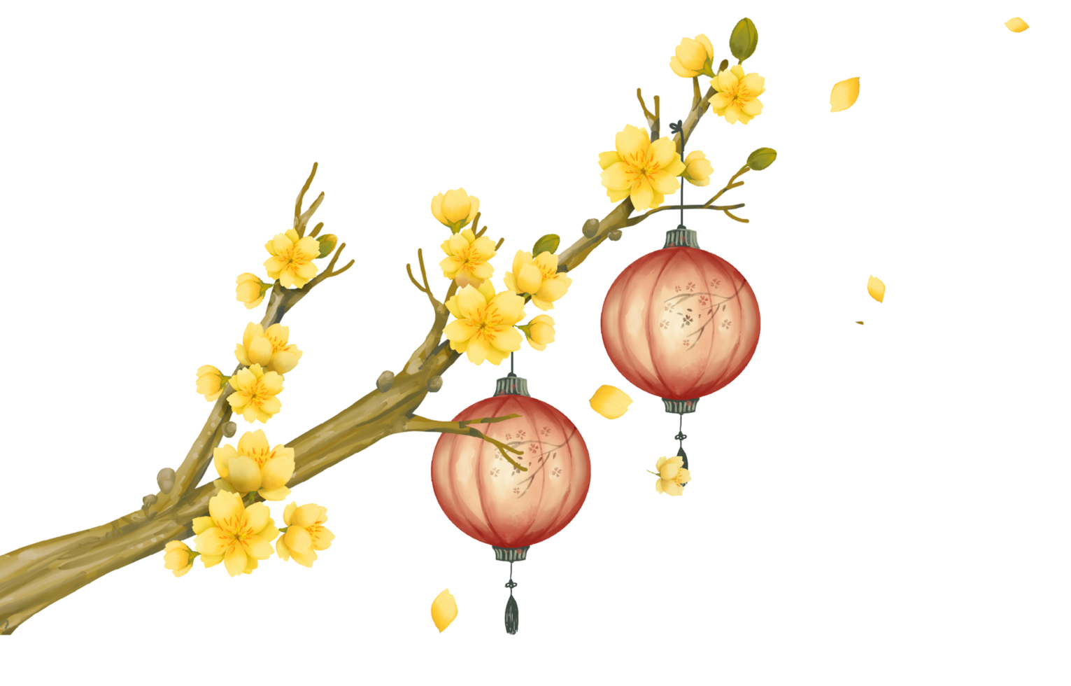 Apricot flower branches with lanterns png