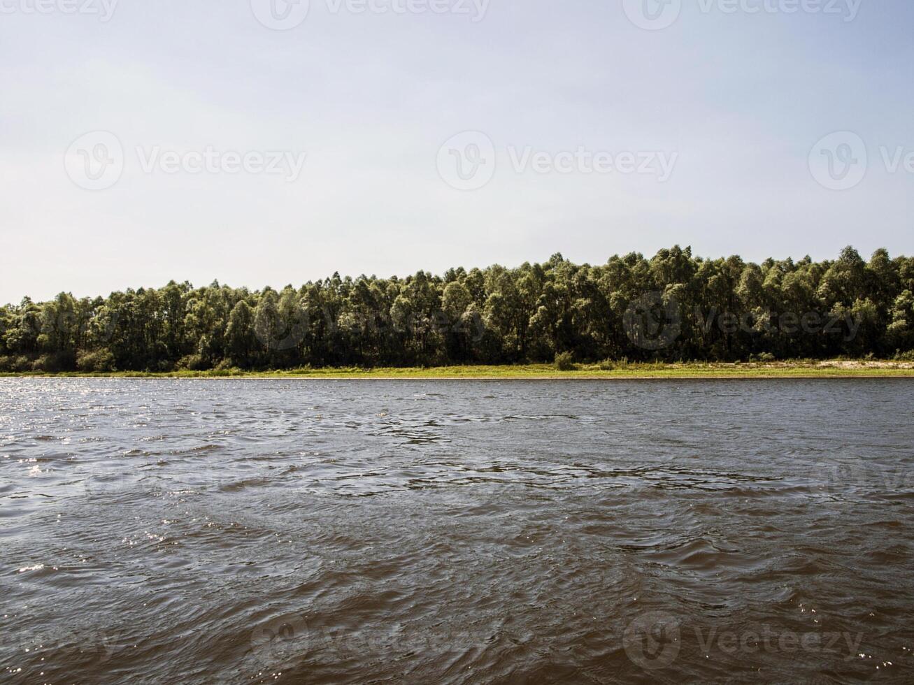 río banco con un bosque foto