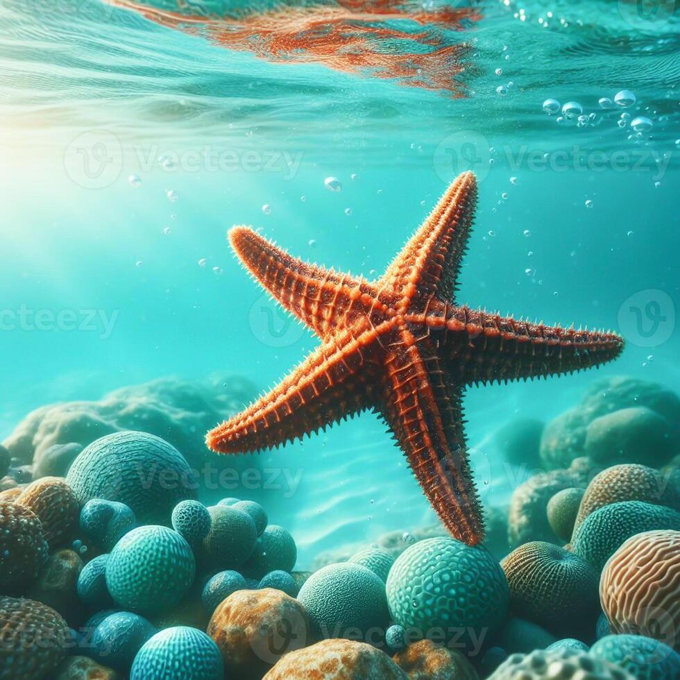 AI generated Starfish. Marine life. Life underwater. photo