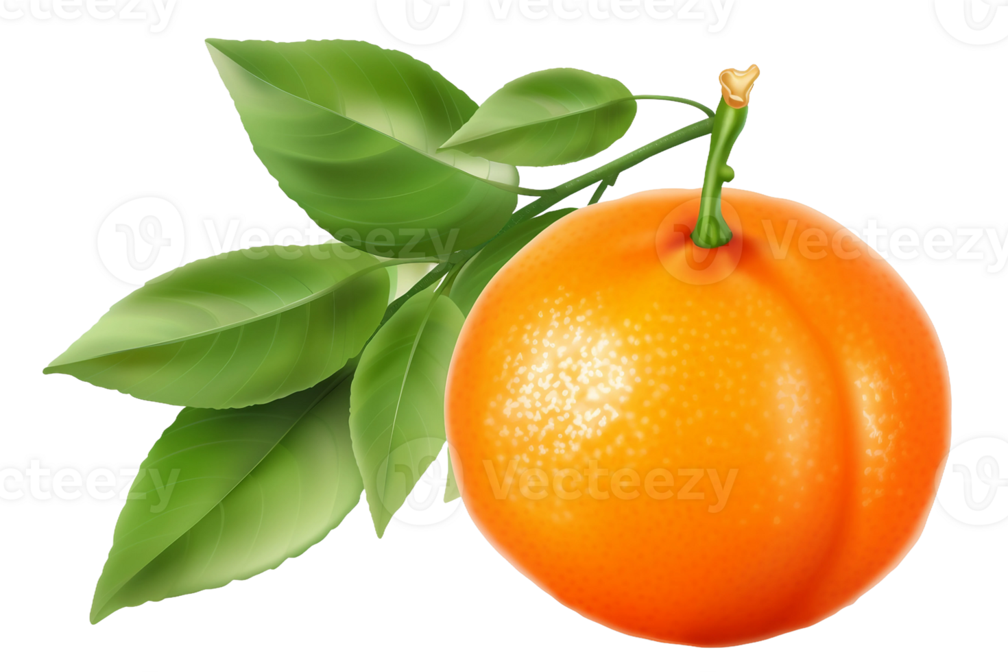 AI generated Vibrant Tangerine Slice on Transparent background png