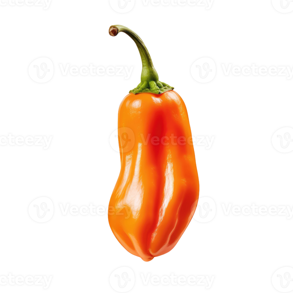 AI generated Delicious Bhutte Ka Kees Dish, on transparent background. png