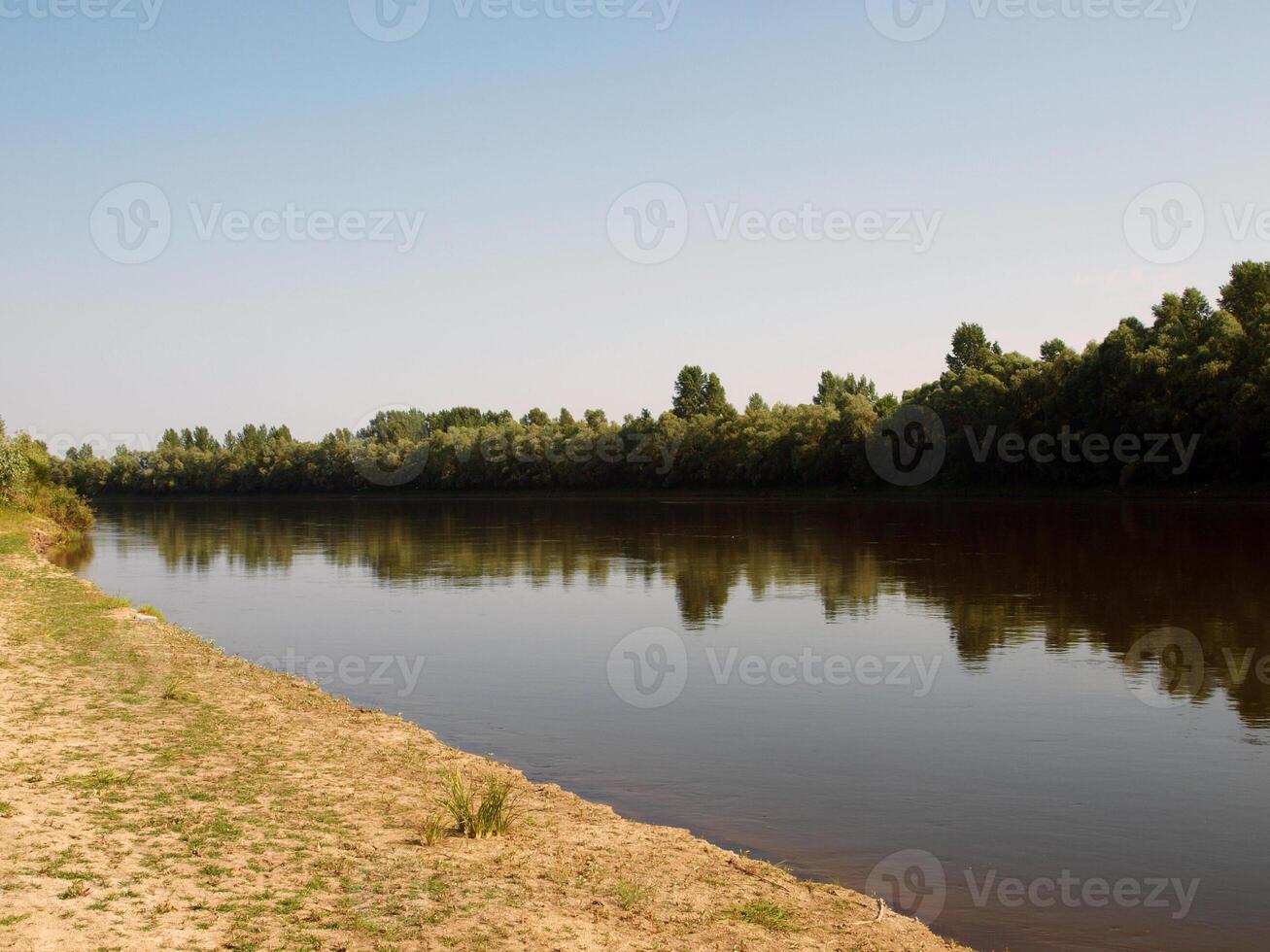 río banco con un bosque foto