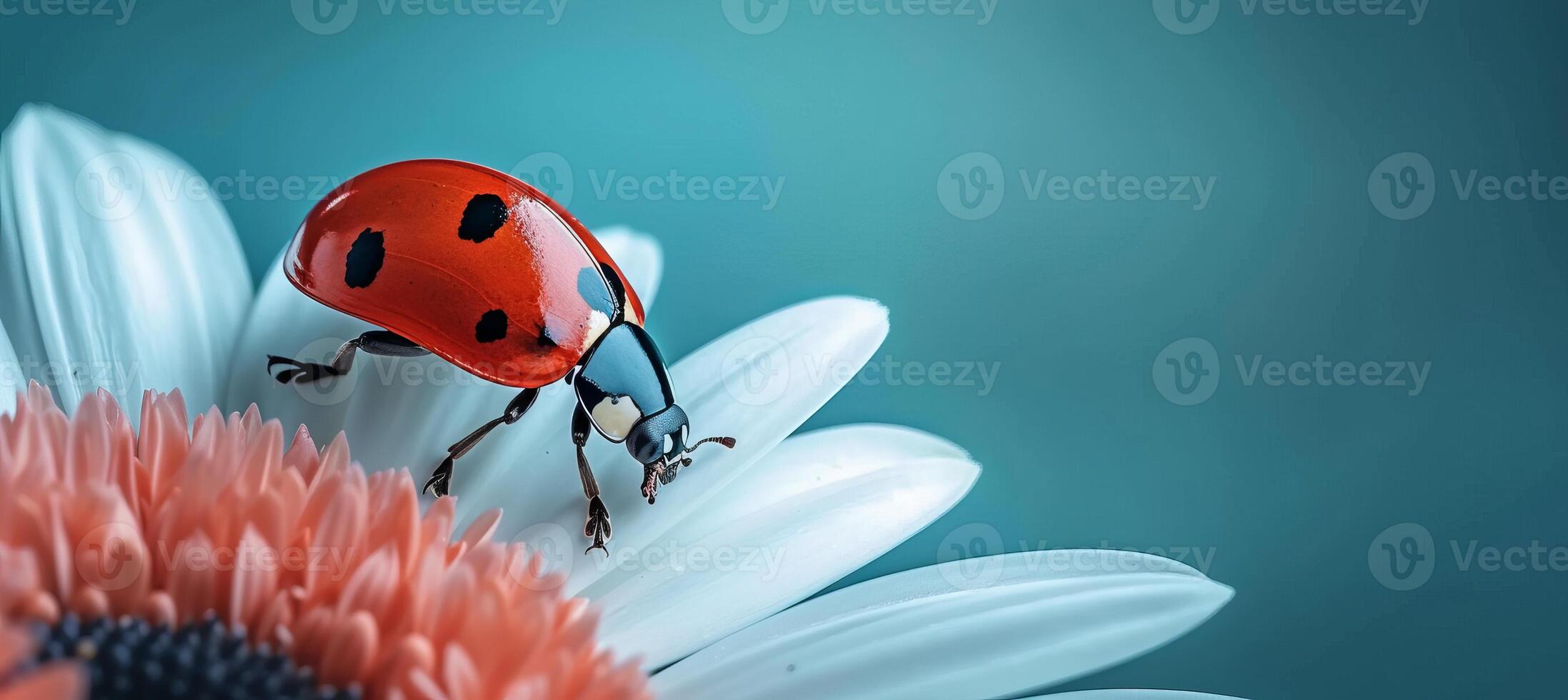 AI generated Minimalistic abstract spring background with ladybug on white flower and space for text placement photo