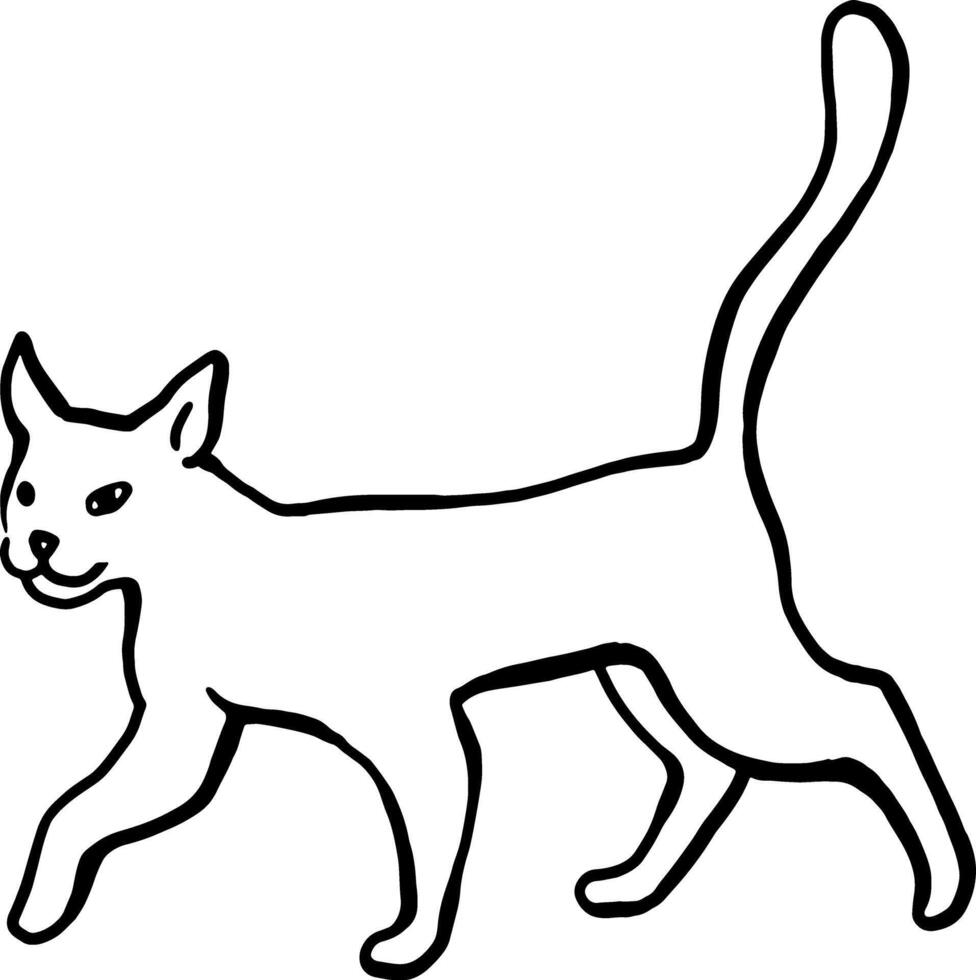 An adult domestic cat is walking. Linear vector drawing. For printing on products, advertising veterinary hospitals, farms. For printing on pet products. Images of animals in graphics. Happy pets.