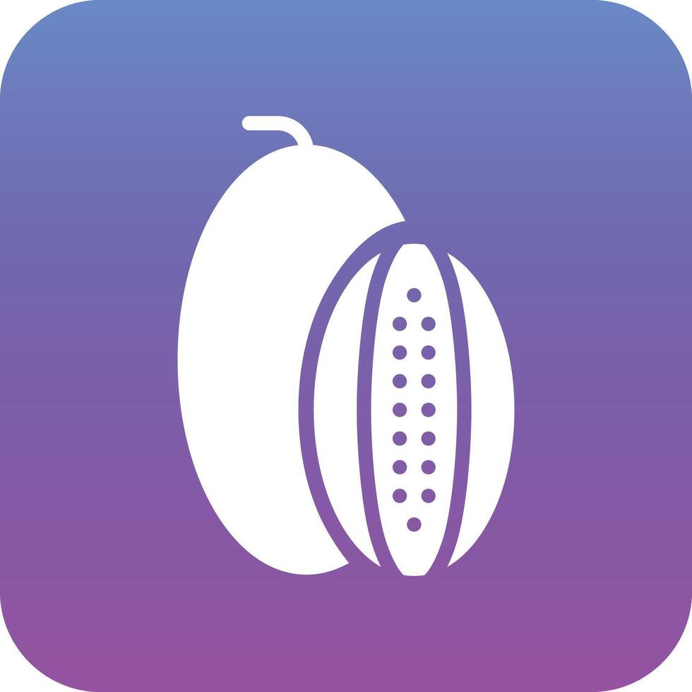 Rockmelon Vector Icon