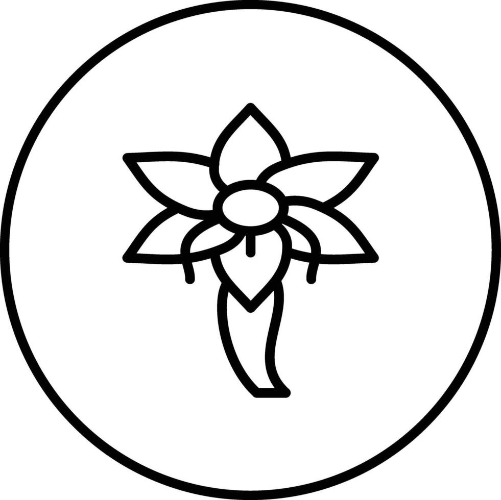 Crocus Vector Icon