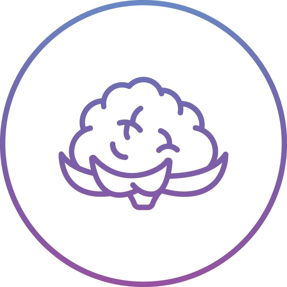 Cauliflower Vector Icon