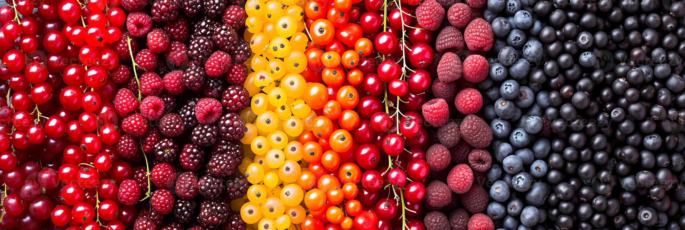 AI generated Collage of berries products with divided white vertical lines in bright light   minimum 7 segments photo