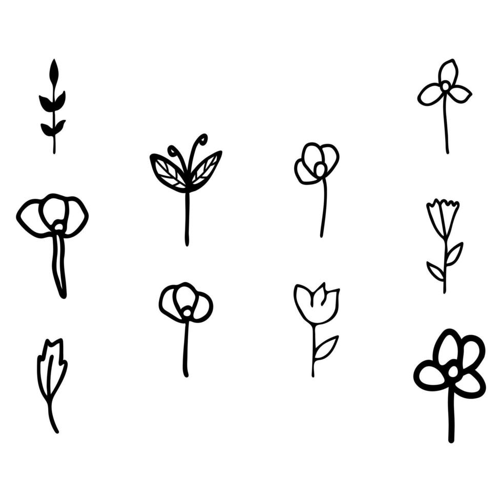 Flower icon set. Botanical Vector