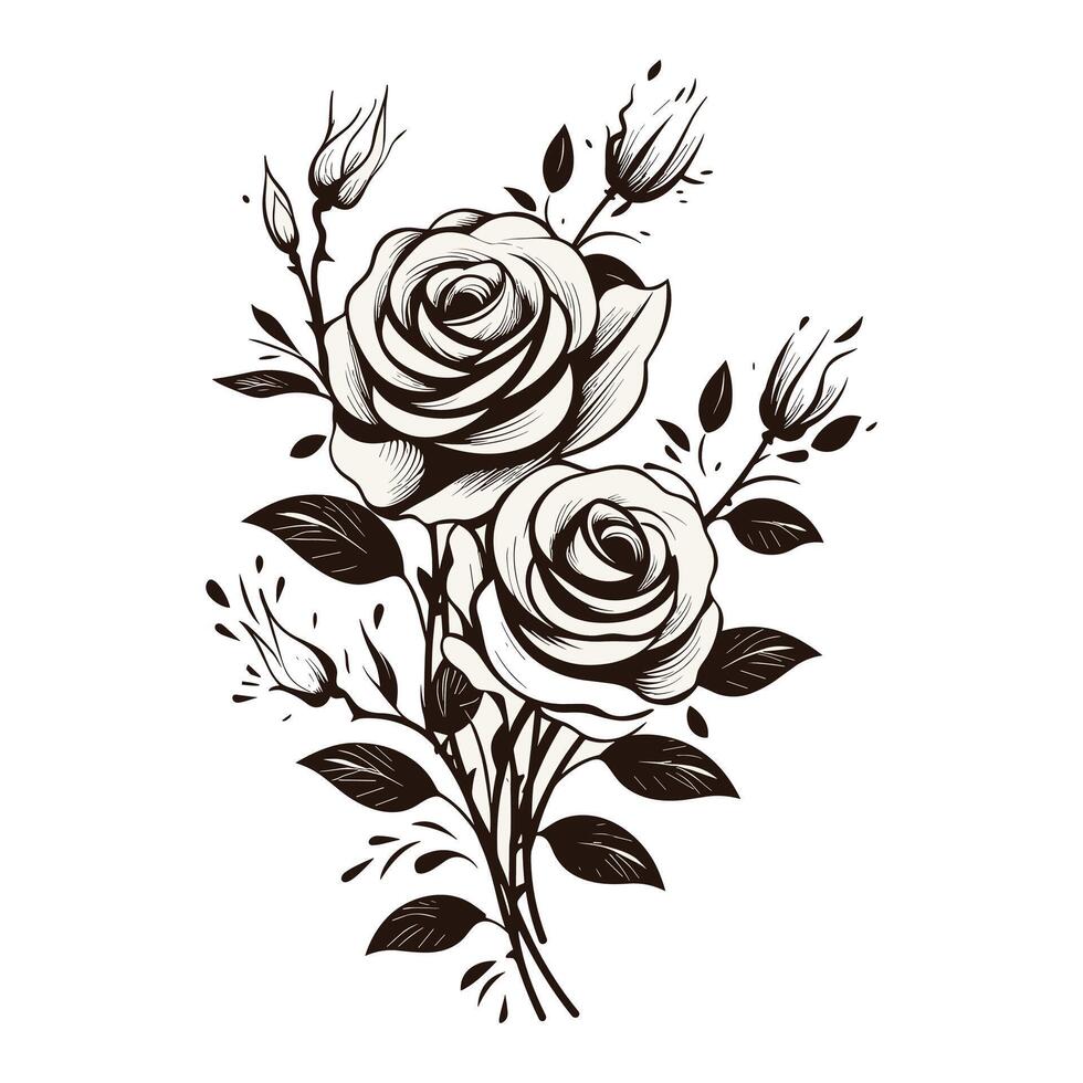 negro y blanco rosas en un blanco antecedentes vector