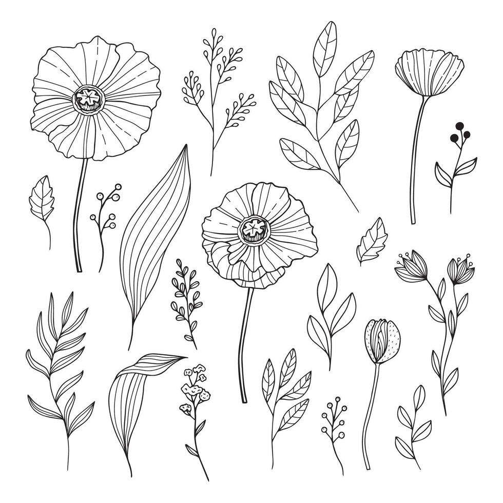 conjunto de mano dibujado prado flores aislado en blanco. vector ilustración en bosquejo estilo