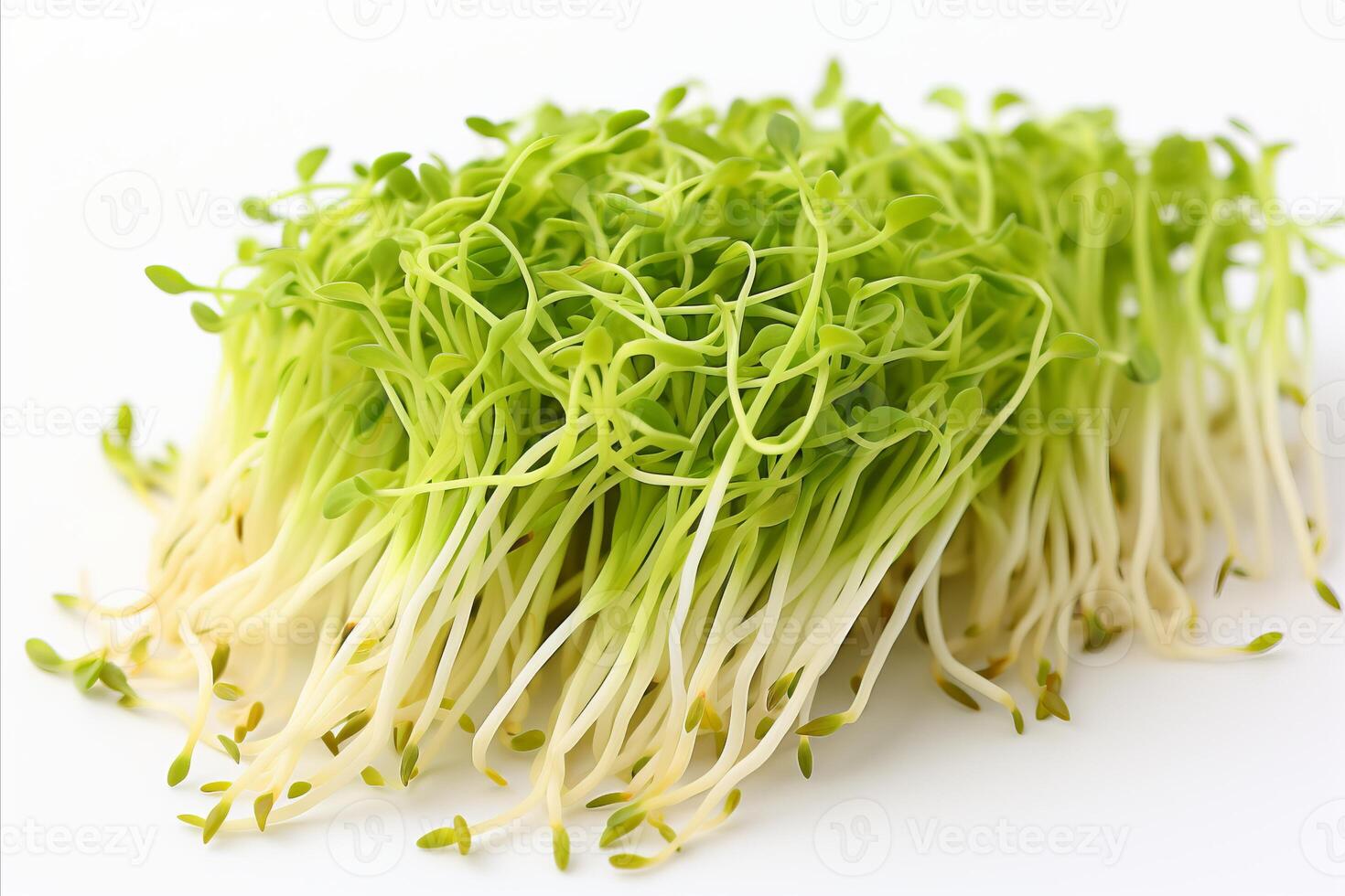 AI generated Fresh and vibrant bean sprouts on a clean white background for advertisements and packaging designs photo