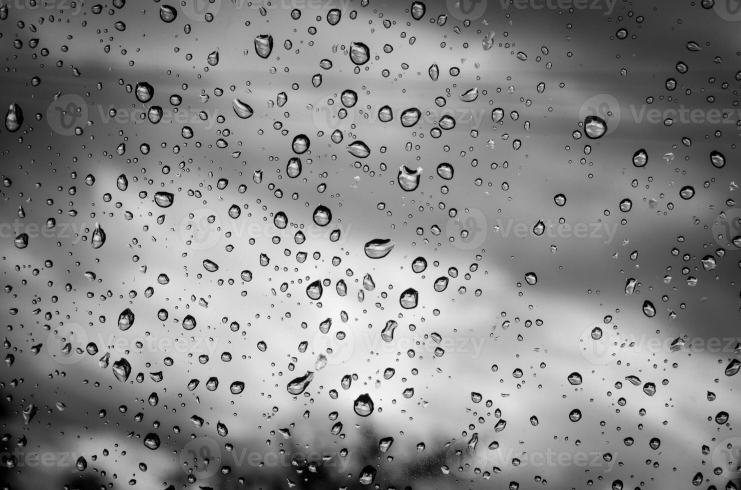 Drops of water on white and black background. photo