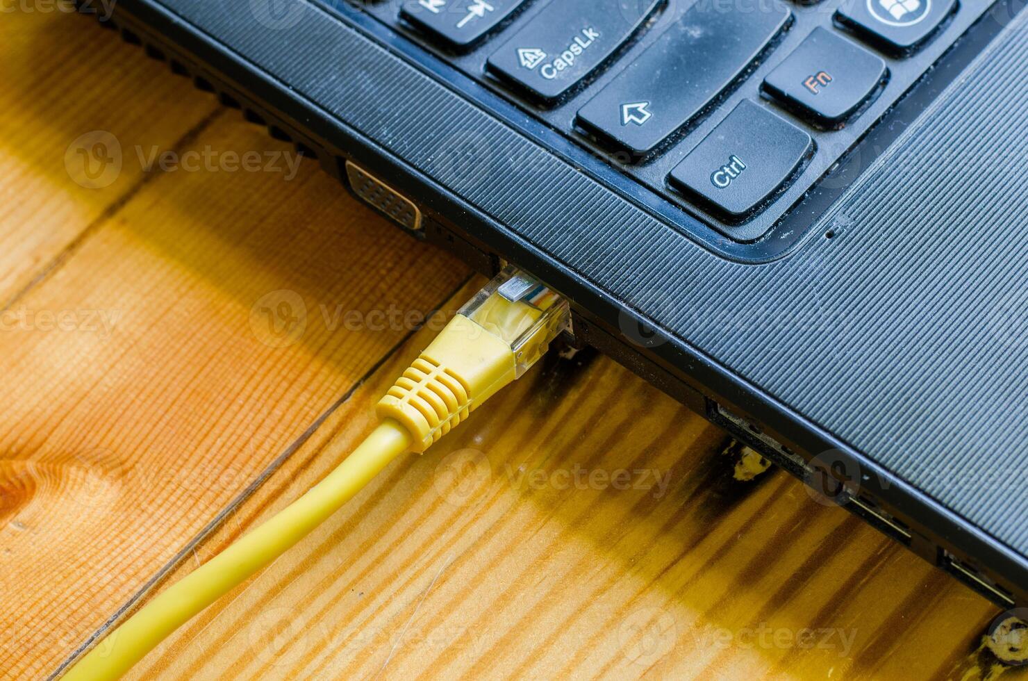 network cable connect to  computer photo
