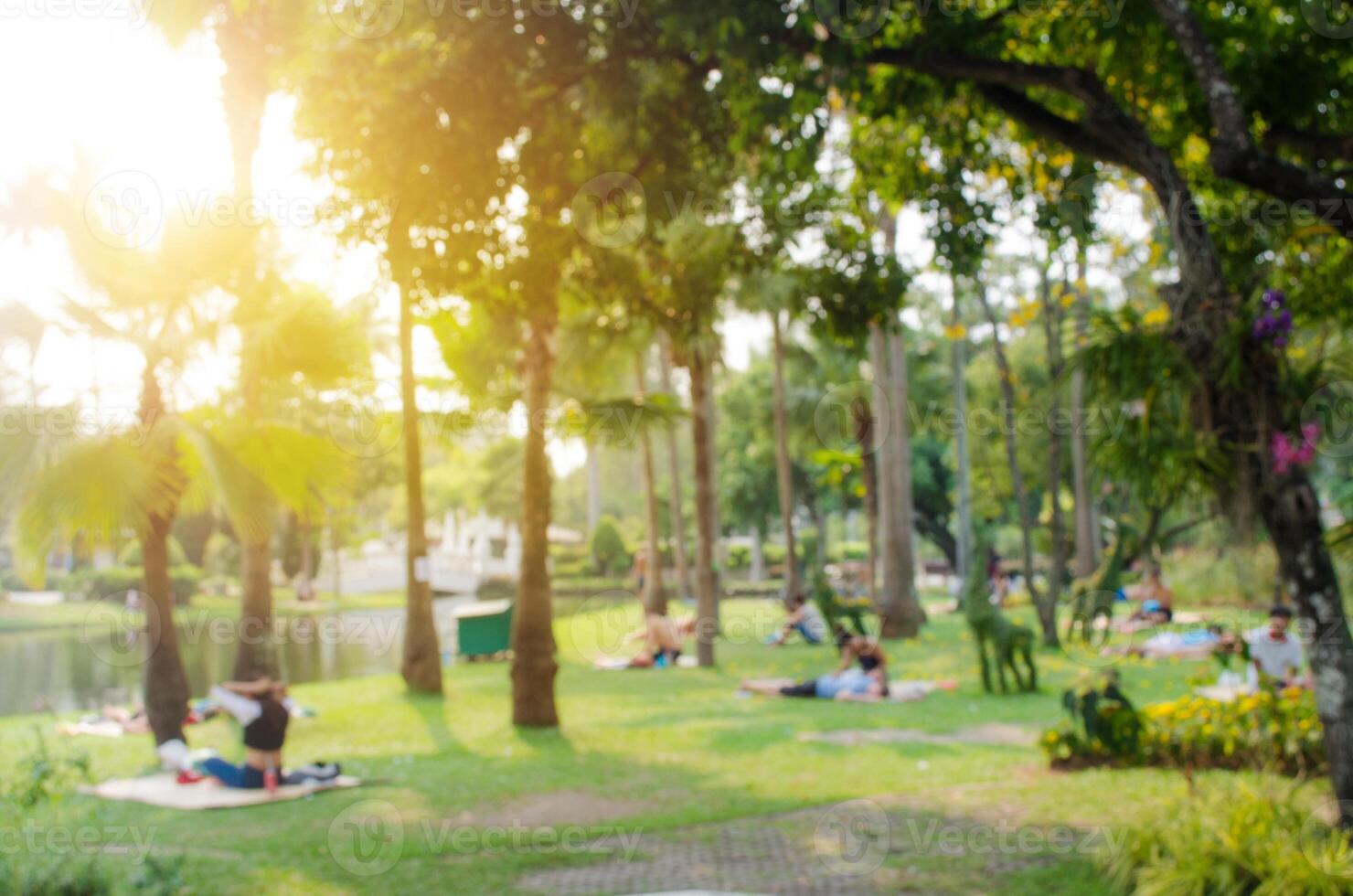 difuminar personas ocupaciones en el público parque en Mañana foto