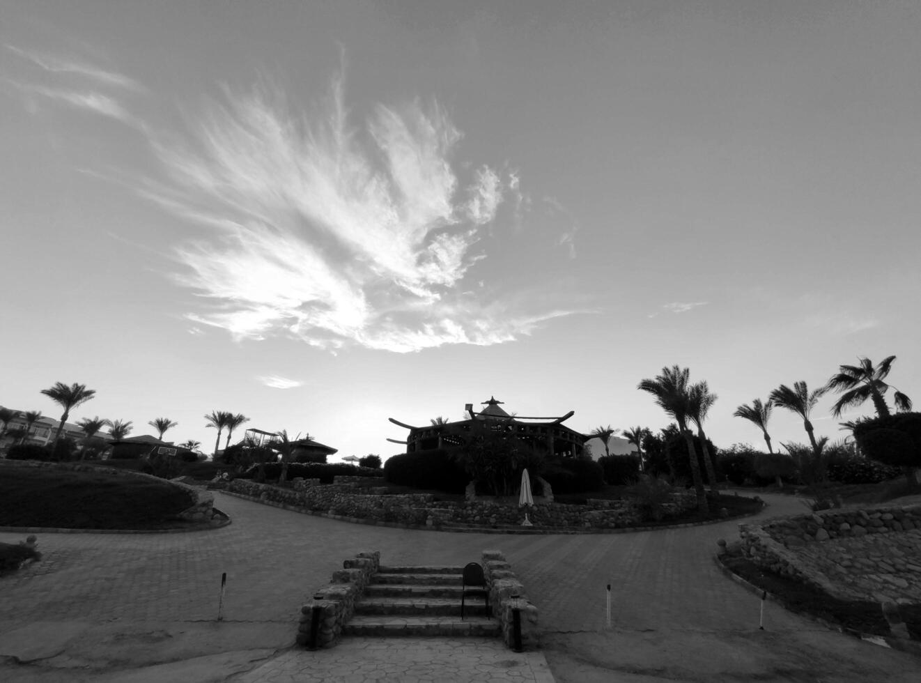 A black and white photo of a path leading to a house