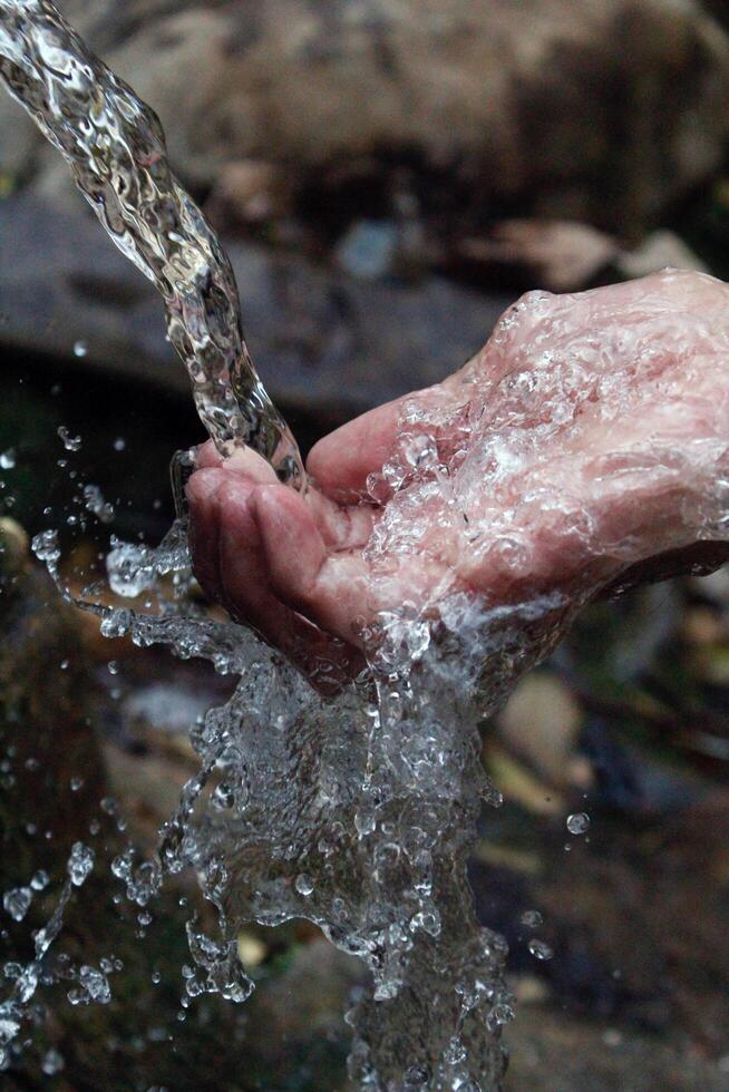 Hands wash procedure, cleaning hands with soap from viruses and contamination. Wash hands before dinner photo