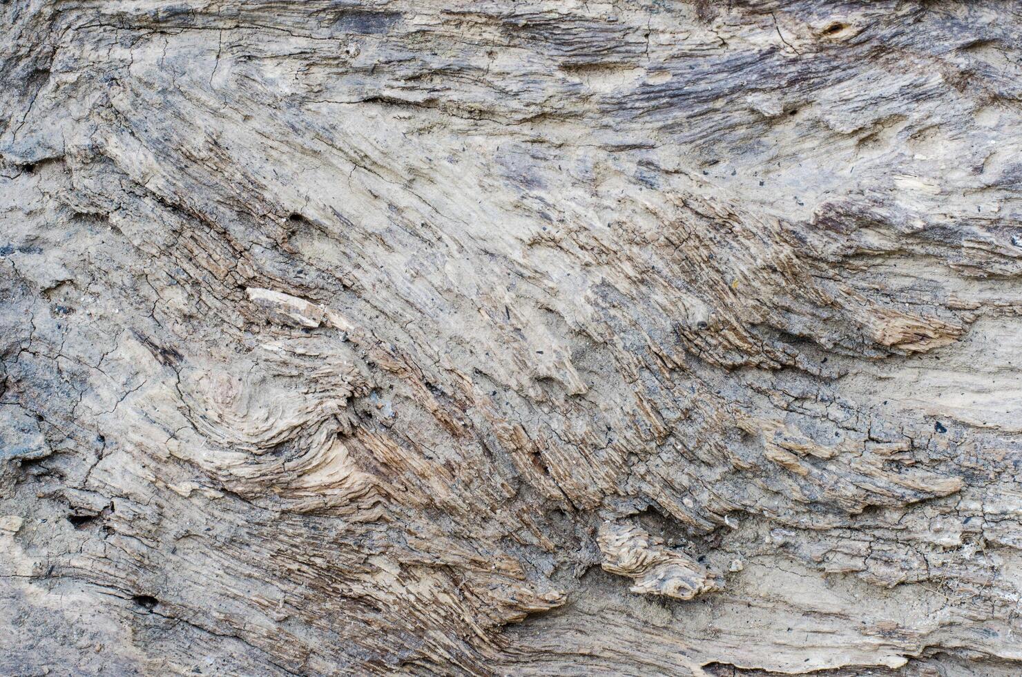 surface of the stone a hole with brown tint photo