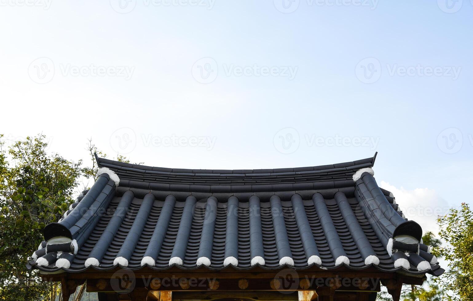Korean style roof photo